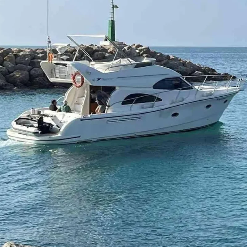 Rodman 41 Fly