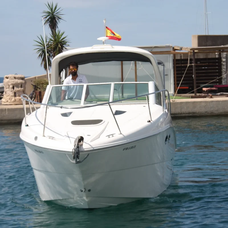 Sea Ray 290_2006 (10)