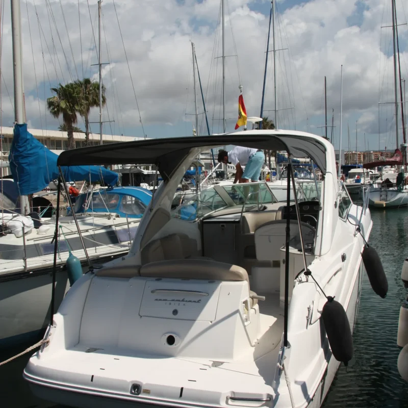Sea Ray 290_2006 (12)