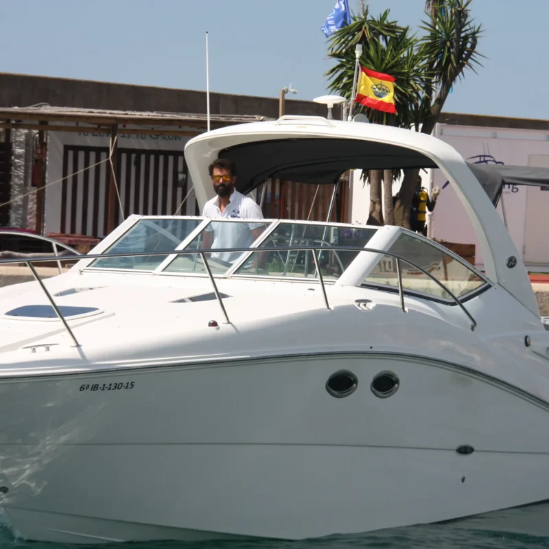Sea Ray 290_2006 (7)