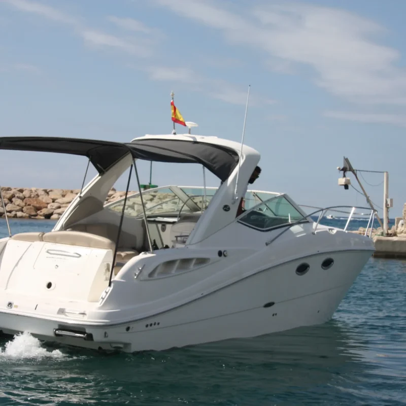 Sea Ray 290_2006 (8)